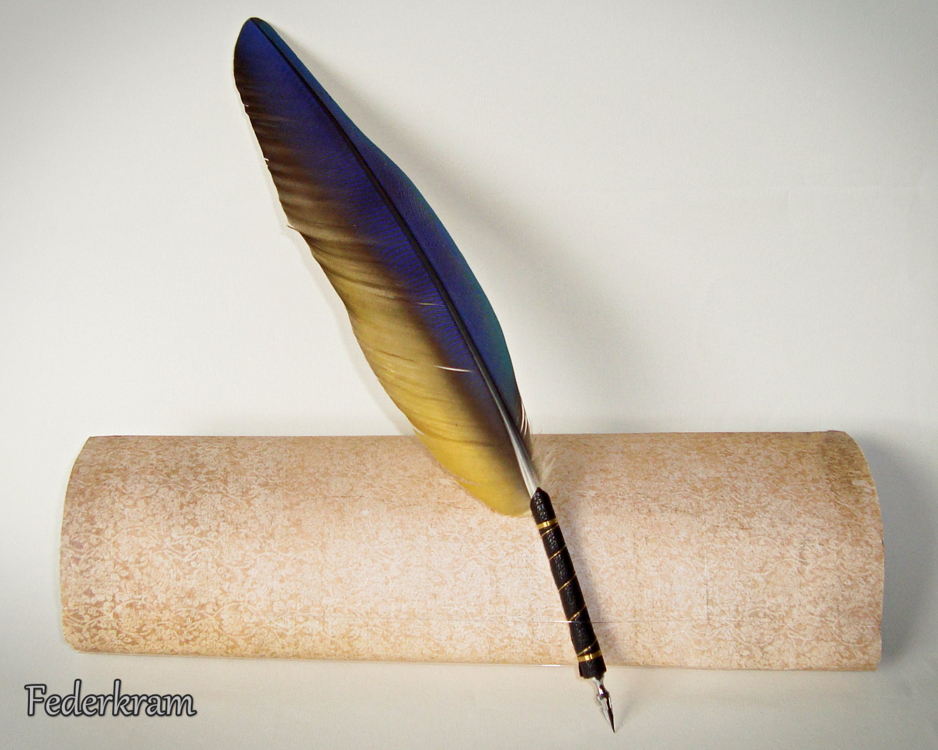 Quill and Ink SVG, Quill and Paper PNG, Quill Ink Cut File, Quill