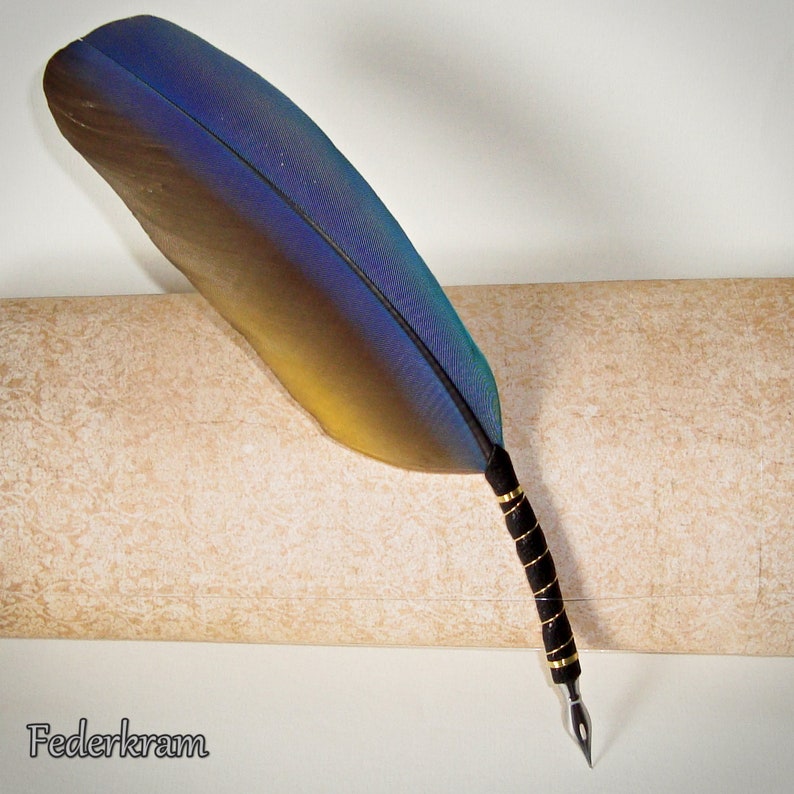 Parrot Feather Quill Pen for Calligraphy handmade by