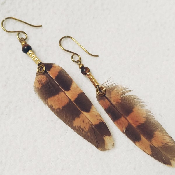 Falconer - small brown pheasant feather earrings, brass hooks, handmade by Federkram