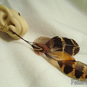 Braune Fasanen Feder Ohrschmeichler golden Messing. Ear cuff earcuff Ohrklemme Ohrclip ohne Piercing