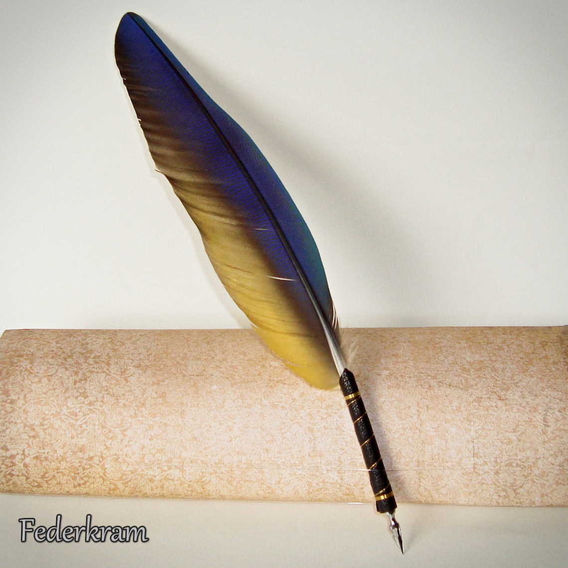 Parrot Feather Quill Pen for Calligraphy handmade by Federkram Etsy