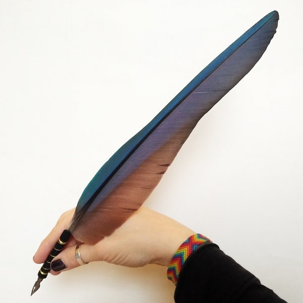 Rot und Blau, Papagei Feder Schreibfeder, Federkiel Vogel Kalligraphie Stift, handgemacht von Federkram