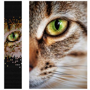 Op de afbeelding: Een verticaal rechthoekig kralenpatroon met een gepixelde close-up van een kattenoog in groene, bruine en zwarte tinten tegen een effen zwarte achtergrond, naast een hoge resolutie foto van een cyperse kattenoog.