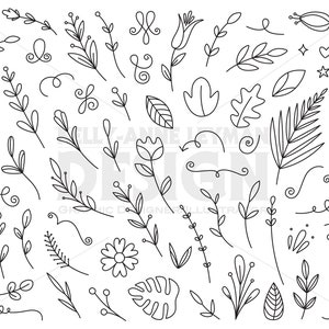 Bloem clipart, doodle, handgetekende, monsterablad clipart, bloeien, commercieel gebruik, digitale download, vectorgraphics, instant download