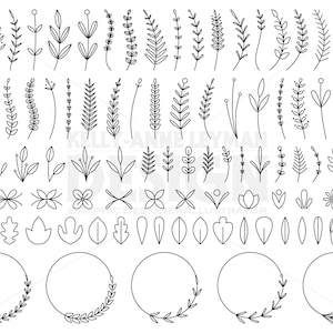 Botanical Clipart, Laurel clipart, Floral Design Elements, Leaves, Commercial Use, Digital Download, Instant Download, Vector Graphics