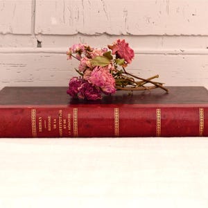 History of prostitution and debauchery&quot; - French Antique Book with Pictures - French Library  - France - French leather book