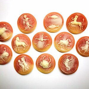 May include: Twelve round, pink and white, cameo-like zodiac signs. Each sign is carved in relief and features a different zodiac symbol.