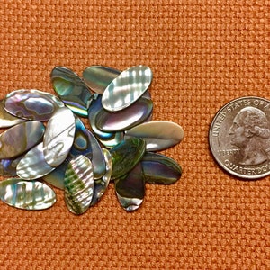 May include: A collection of iridescent abalone shell oval cabochons, displaying a range of colors including green, blue, and purple. A US quarter is included for size reference. The shells are on an orange textured surface.