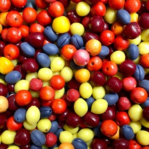 May include: A close-up of a variety of colorful beads, including red, yellow, blue, and purple. The beads are arranged in a random pattern and are all about the same size.