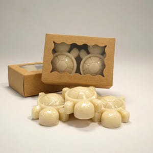 Peut inclure: Des savons en forme de tortue blanc cassé, certains emballés dans du plastique transparent, sont présentés. Deux savons sont visibles à travers une fenêtre dans une boîte en carton marron. Une autre boîte est en arrière-plan.