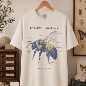 Può includere: Una t-shirt a maniche corte color crema con un'illustrazione scientifica di un bombo etichettata External Anatomy. Il grafico include testo che indica parti come l'antenna, il torace, l'ala anteriore, l'ala posteriore e l'addome.