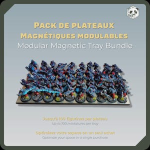 Peut inclure: Un ensemble de plateaux magnétiques modulables avec le texte PACK DE PLATEAUX MAGNÉTIQUES MODULABLES et Modular Magnetic Tray Bundle. Le plateau supporte de nombreuses figurines miniatures peintes en bleu et rouge sur des socles ronds.