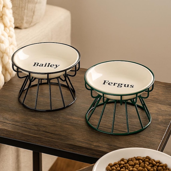Custom Pet Bowl | Raised Ceramic Cat & Dog Dish with Stand