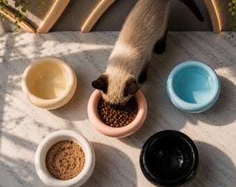 Bol pour chat en céramique mangeoire pour chat mignon bol chiot couleur plat de nourriture couleur esthétique Kawaii petit bol pour chien fournitures pour animaux de compagnie bol d'eau pour chat cadeau pour animal de compagnie