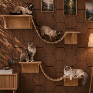 Puede incluir: Un sistema de muebles de pared para gatos con estantes de madera clara y dos puentes colgantes curvos. Cuatro gatos están situados en los distintos niveles. El sistema está instalado en una pared con un patrón hexagonal marrón oscuro y tres cuadros.