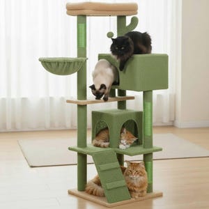 May include: A multi-level cat tree in shades of green and beige. The cat tree features multiple platforms, a hammock, a cubby, and a ramp. Several cats of varying colors are lounging on the tree.