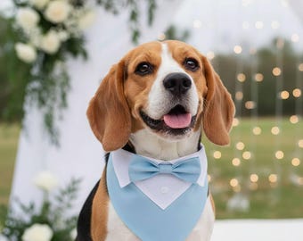 Pañuelo de boda para perros con pajarita azul, collar formal para perros, atuendo elegante para bodas de perros, collar ajustable para bodas de perros