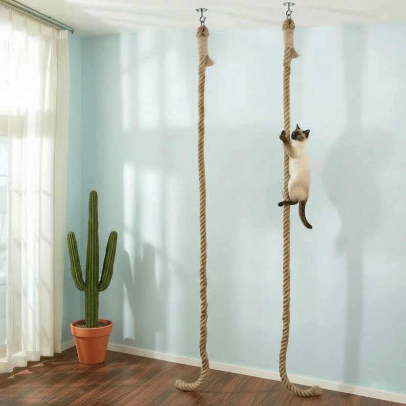 Cat Climbing Rope Cat Sisal Rope Climbing for Indoor Cats Ceiling ...