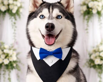 Collar tipo bandana para perro con pajarita azul, atuendo formal de boda para perros, accesorios para perros, vestimenta de boda para perros, collar ajustable para perros.
