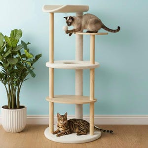 May include: A multi-level cat tree with a beige carpeted surface and wooden supports. Two cats are present, one playing with a ball on the top level and another resting on the base. A tall potted plant is to the left.
