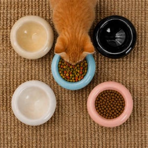 May include: Overhead shot of a ginger cat eating from a light blue ceramic pet bowl filled with kibble. Four other ceramic bowls in cream, white, black, and pink are arranged around the cat. The bowls are on a brown woven surface.