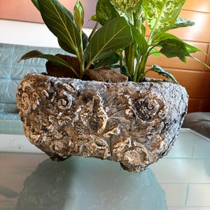 Peut inclure: Un pot de fleurs oblong, avec une finition texturée grise et blanche, rempli de plantes vertes. Le pot a un motif en relief et repose sur de petits pieds. Les plantes ont de grandes feuilles à motifs et sont agrémentées de petites pierres.