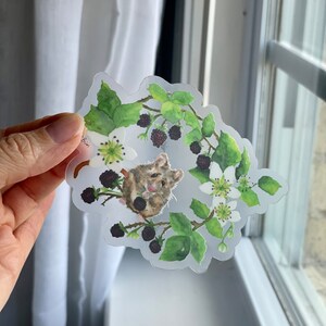 Mouse in Bramble Sticker | Watercolor Decal | Clear Vinyl | Die Cut