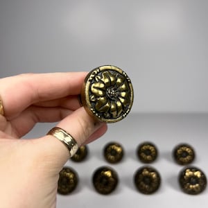 Op de afbeelding: Antieke messingkleurige kastknoppen met een bloemmotief. De knoppen hebben een ronde vorm en een gedetailleerd, reliëfpatroon. Eén knop wordt in een hand gehouden, met verschillende andere op de achtergrond.