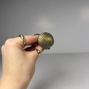 May include: A brass-toned seashell cabinet knob. The knob features a detailed, textured surface with vertical lines. The image also shows gold rings on the fingers.