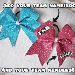 Könnte beinhalten: Zwei glitzernde Cheerleader-Schleifen. Eine ist türkis mit silbernen Akzenten, die andere ist rosa mit silbernen Akzenten. Auf der rosa Schleife stehen die Namen "LSB" und "Celine". Der Text "ADD YOUR TEAM NAME/LOGO" und "AND YOUR TEAM MEMBERS!" ist ebenfalls vorhanden.