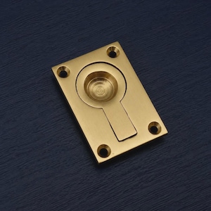 May include: A rectangular brass flush pull with a circular recessed handle and a keyhole-shaped opening. The brass hardware has four screw holes in each corner. The hardware is set against a dark blue background.