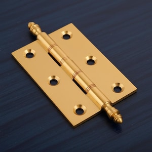 May include: A polished brass door hinge. The hinge features a rectangular design with rounded screw holes and a cylindrical barrel. The barrel connects two rectangular plates. This hinge is suitable for doors and cabinets. The hinge is made of brass.