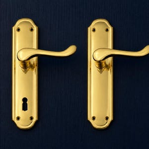 May include: A pair of polished gold door handles with a keyhole, set against a dark blue wooden door. The handles feature a curved design and are symmetrically arranged. The door hardware adds a touch of elegance.