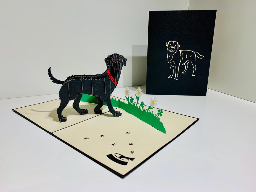 Julius Black Labrador Dog Happy Birthday 3D Pop up Greeting Card - for ...