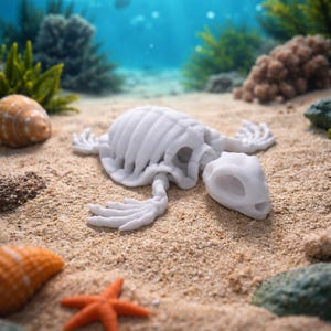 May include: A white turtle skeleton rests on a sandy seabed, with seashells, a starfish, and coral nearby. The underwater scene has a blue-green backdrop with sunlight filtering through the water.