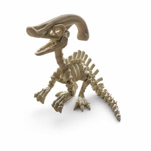 Puede incluir: Un modelo de esqueleto de dinosaurio de color crema que presenta una cresta prominente en la cabeza, una mandíbula abierta con dientes visibles, una columna vertebral segmentada con espinas dorsales y una cola larga sobre dos patas.