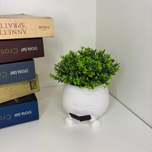 Könnte beinhalten: Ein weißer Keramik-Blumentopf in Form einer Figur, die ein Buch liest, mit einer grünen Blattpflanze darin. Der Topf hat kleine Füße und ein lächelndes Gesicht. Bücher sind im Hintergrund gestapelt.