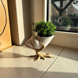 Könnte beinhalten: Ein weißer, muschelförmiger Pflanzentopf mit einer kleinen grünen Pflanze. Der Topf hat einen beigefarbenen, sternförmigen Sockel und einen gebogenen Stiel. Er steht auf einer weißen Fensterbank, mit einem Fenster und Sonnenlicht im Hintergrund.