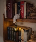 Cat with Lantern Shelf Decor \u2013 3D Printed Cat Figurine with LED Tealight Bookshelf Decor Cat \u2013 Gift for Cat Lovers Night Light Edge product logo