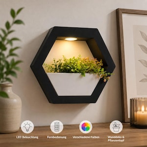 Peut inclure: Une étagère murale hexagonale noire dotée d'un éclairage LED intégré en haut et d'un insert de jardinière blanc contenant du feuillage artificiel vert. L'étagère comprend des icônes pour l'éclairage LED, la télécommande, les couleurs et la décoration.