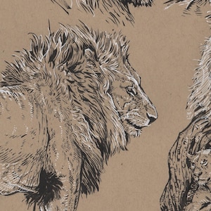 Dibujo a tinta de leones, estudio realizado con pincel.