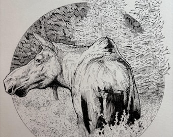 Boceto a pluma de un alce.