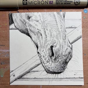 May include: Detailed pen and ink drawing of a horse's head, focusing on the muzzle and part of the face. The artwork is on a white paper, with a Micron 02 archival ink pen in the background. The horse's head is positioned near a wooden fence.