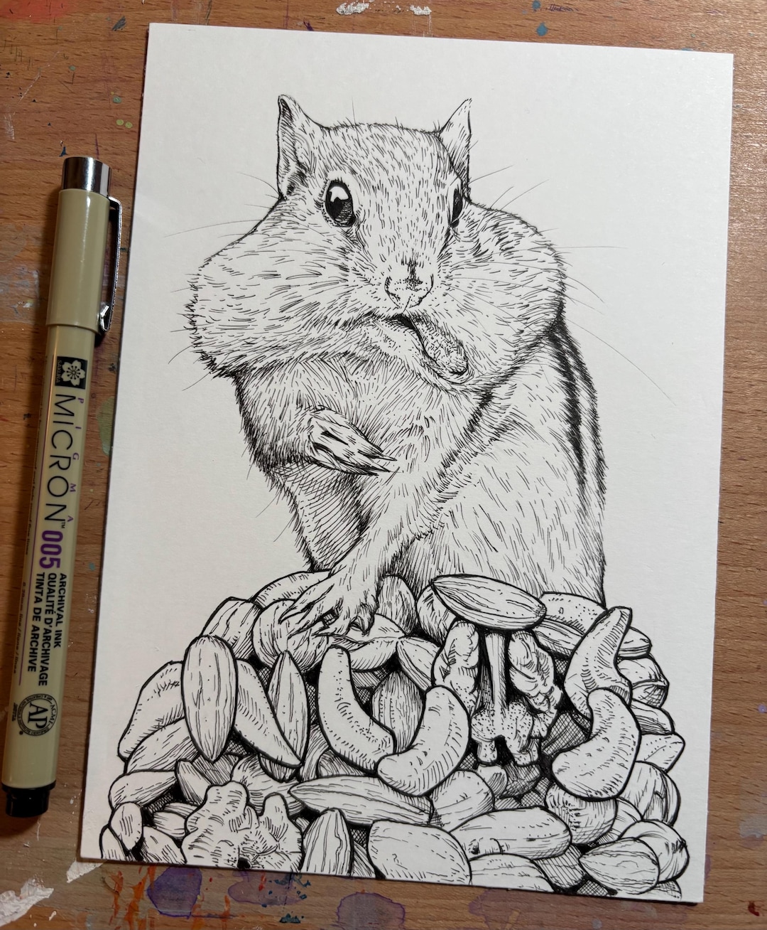 Pen Drawing of a Chipmunk Eating Nuts. - Etsy