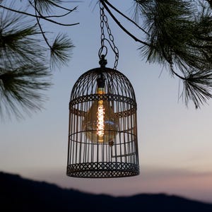 Industrial Birdcage Pendant Light | Vintage Edison Bulb Hanging Lamp | Rustic Cage Light Fixture | Unique Home Lighting