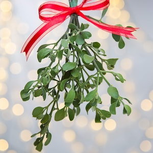 May include: A sprig of green mistletoe with small, rounded leaves, tied with a red and white striped ribbon. The mistletoe is suspended against a blurred background of soft, glowing lights, creating a festive holiday atmosphere.