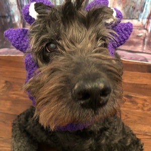 TCU .. Texas Christian University Horned Frog dog snood