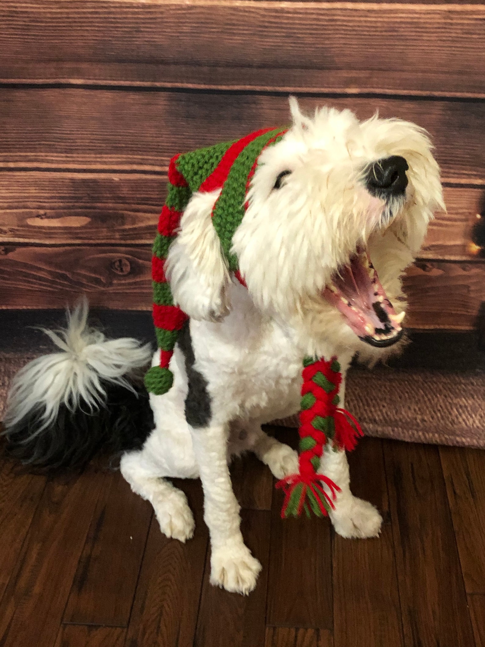 Elf Stocking Hat Etsy