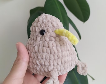 Crochet amigurumi kiwi bird