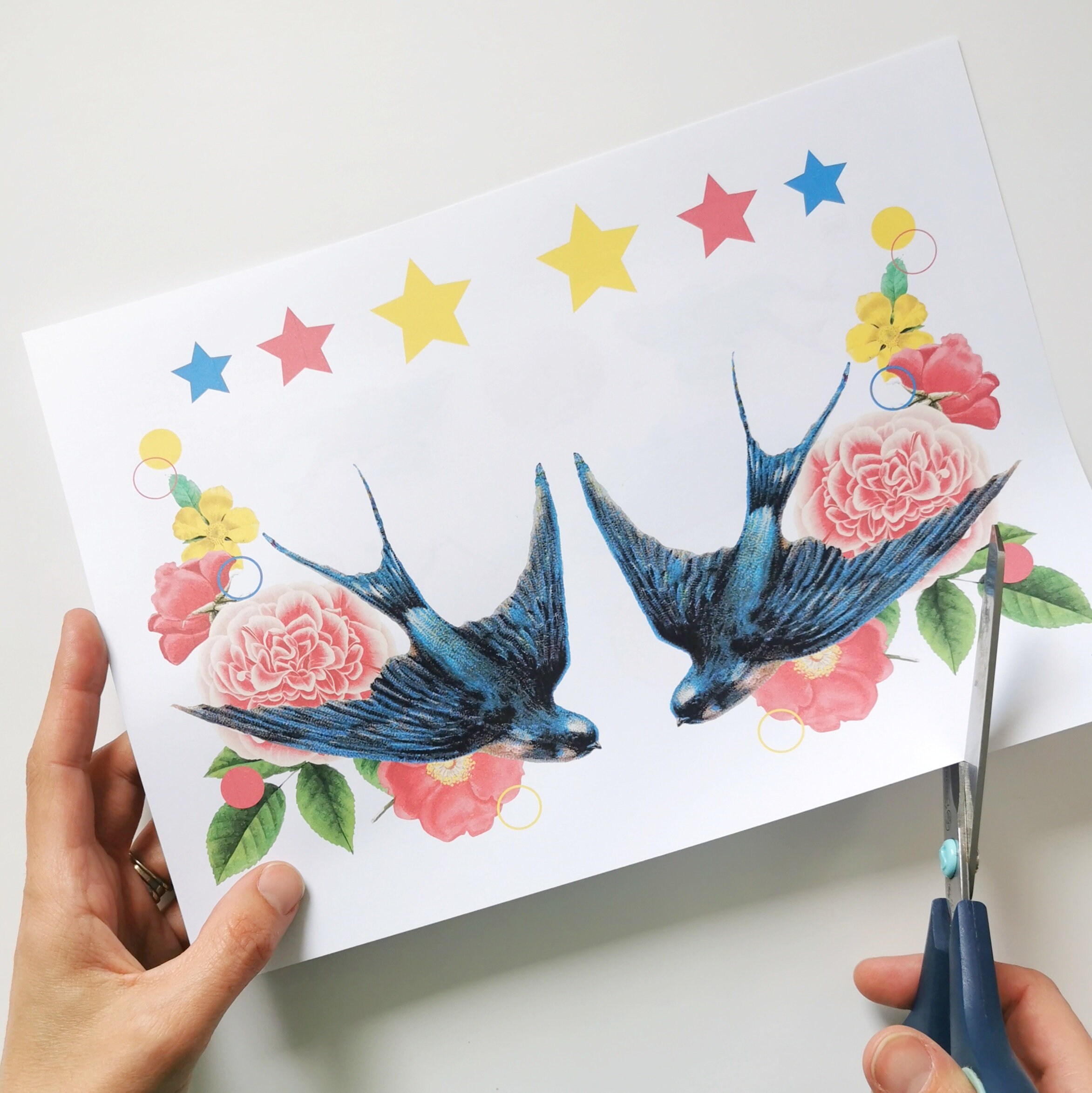 Vintage Swallows Refashion Logo Coverup Graphics and Etsy